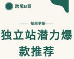 【跨境B哥】独立站潜力爆款选品推荐,测款出单率高达百分之80-网赚资源网