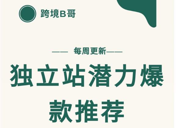 【跨境B哥】独立站潜力爆款选品推荐，测款出单率高达百分之80 - 网赚资源网-网赚资源网