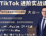 大山老师TikTok进阶实战课:账号详解,流量运营,实战变现,助力你成功出海-网赚资源网