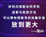 张sir账号流量增长课,告别海王流量,让你的流量更精准-网赚资源网