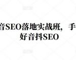 王通·抖音SEO落地实战班,手手带你做好音抖SEO-网赚资源网