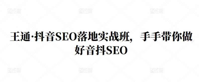 王通·抖音SEO落地实战班，手‬手带你做好音抖‬‬SEO - 网赚资源网-网赚资源网