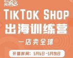 疯人院:TikTok Shop出海训练营(一店卖全球),出海抢占全球新流量-网赚资源网