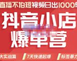推易电商·2022年抖音小店爆单营，不直播、不拍短视频、日出1000单，暴力玩法-网赚资源网