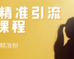 soul精准引流系列课程，每天引流100精准粉-网赚资源网