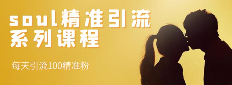 soul精准引流系列课程，每天引流100精准粉 - 网赚资源网-网赚资源网