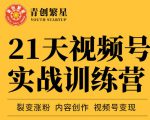 张萌21天视频号实战训练营,裂变涨粉、内容创作、视频号变现 价值298元-网赚资源网
