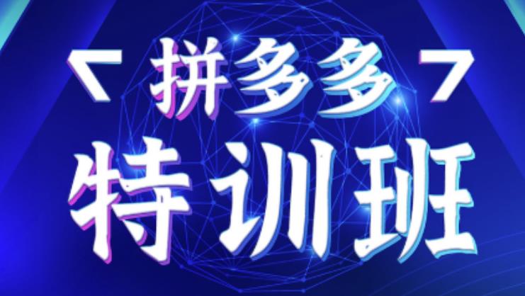 星雪教育·拼多多基础班+进阶班+突破班，用系统的学习模式快速改变现状价值3580元 - 网赚资源网-网赚资源网