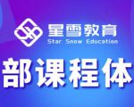 星雪教育淘系高级班,更全的运营提升方案,零基础由浅入深,店铺最新玩法-网赚资源网