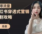 苏歆:小红书穿透式营销收割攻略,引爆流量,助你玩转小红书-网赚资源网