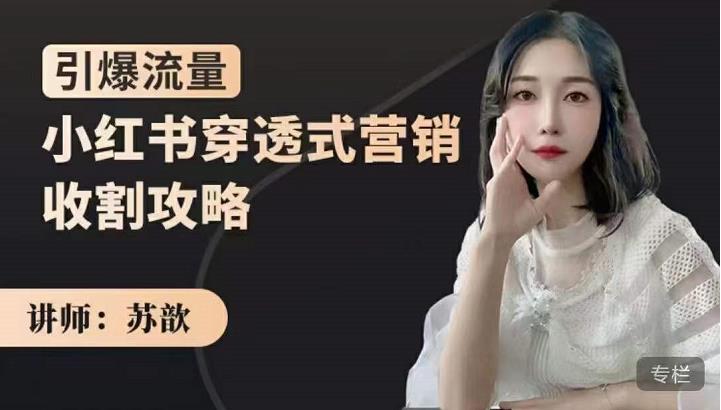 苏歆：小红书穿透式营销收割攻略，引爆流量，助你玩转小红书 - 网赚资源网-网赚资源网