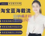 2022淘宝蓝海截流攻略，淘宝蓝海截流选品上货实操讲解-网赚资源网