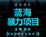 引流哥蓝海暴力躺赚项目：无需发圈无需引流无需售后，每单赚50-500（教程+线报群)-网赚资源网