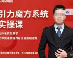 阿呆-引力魔方系统实操课,全体系实战教学,助你快速掌握推荐流量底层逻辑-网赚资源网