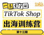 TikTokShop出海训练营(第十三期),打开全球流量新思维,出海抢占全球新流量,一店卖全球-网赚资源网