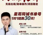 星哥同城教育书单号课程，无需出境简单操作项目稳定-网赚资源网