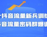 Peter抖音流量新兵训练营-破解抖音流量密码群爆训练营(新兵)-网赚资源网