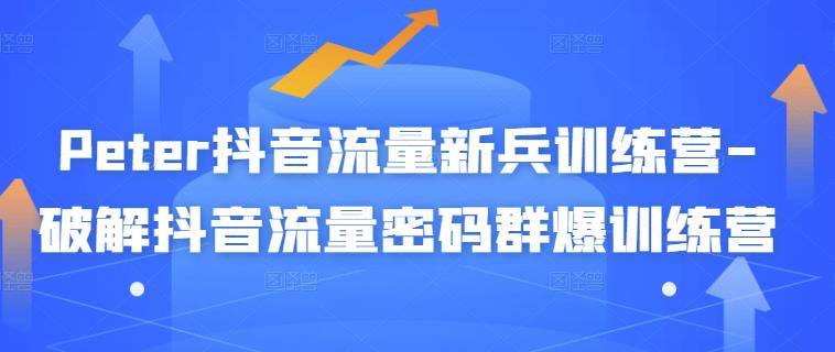 Peter抖音流量新兵训练营-破解抖音流量密码群爆训练营（新兵） - 网赚资源网-网赚资源网