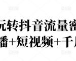 2022玩转抖音流量密码，(直播+短视频+千川)-网赚资源网