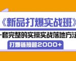 凌童《新品打爆实战班》,一套完整的实操实战落地方法,打爆链接超2000+(28节课)-网赚资源网