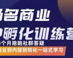杨名商业IP孵化训练营,从商业到内容到转化一站式学 价值5980元-网赚资源网