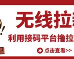 最新接码无限拉新项目,利用接码平台赚拉新平台差价,轻松日赚500+-网赚资源网