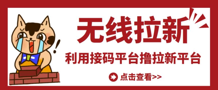 最新接码无限拉新项目，利用接码平台赚拉新平台差价，轻松日赚500+ - 网赚资源网-网赚资源网