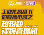尼克派·工业化思维下的直播电商之短视频锤爆直播间，听话照做执行爆单-网赚资源网