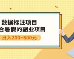 副业赚钱：人工智能数据标注项目，简单易上手，小白也能日入200+-网赚资源网