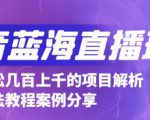 抖音最新蓝海直播玩法,3分钟赚30元,一天轻松1000+,只要你去直播就行【详细玩法教程】-网赚资源网