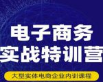 民赛电气内部出品:电子商务实战特训营,全方位带你入门电商,308种方式玩转电商-网赚资源网