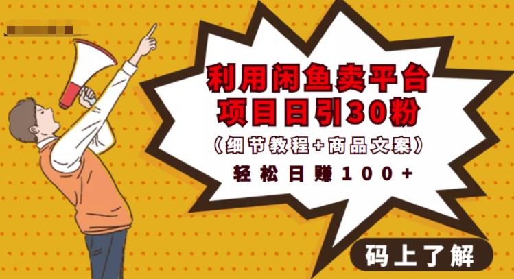 利用闲鱼卖平台项目课程资源日引流30+精准粉丝，轻松日赚100+，积累人脉可实现二次变 - 网赚资源网-网赚资源网