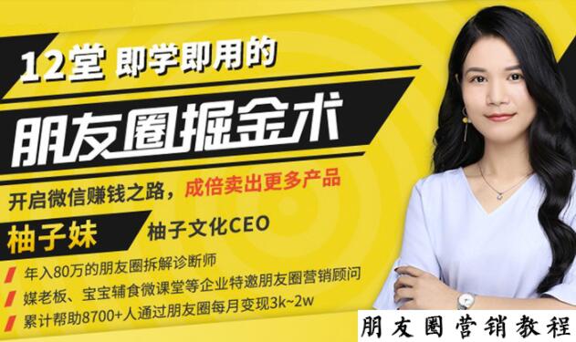 【营销必学】12堂学之即用的朋友圈掘金术：开启你的副业赚钱之路 - 网赚资源网-网赚资源网