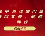 10堂速学微短剧内容制作标准与项目实战，领跑80%同行-网赚资源网