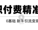 玩转知识付费项目精准引流，给你1套课多账号操作落地方案！-网赚资源网