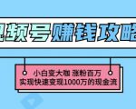 玩转微信视频号赚钱:小白变大咖涨粉百万实现快速变现1000万的现金流-网赚资源网