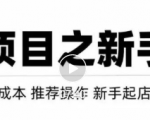 虚拟项目快速起店模式,0成本打造月入几万虚拟店铺!-网赚资源网