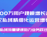 8000万用户规模增长方法论私域精细化运营增长，私域流量硬课助力业务跃迁-网赚资源网