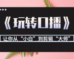 月营业额700万+大佬教您《玩转口播》让你从“小白”到剪辑“大师”-网赚资源网