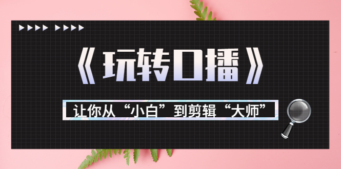 月营业额700万+大佬教您《玩转口播》让你从“小白”到剪辑“大师” - 网赚资源网-网赚资源网