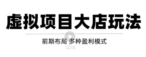 虚拟项目月入几万大店玩法分享，多店操作利润倍增（快速起店盈利） - 网赚资源网-网赚资源网