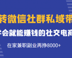 玩转微信社群私域带货,学会就能赚钱的社交电商,在家兼职副业再挣8000+-网赚资源网