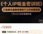 个人IP吸金密训班,打造高价值高效率的个人IP内容体系(价值12800元)-网赚资源网