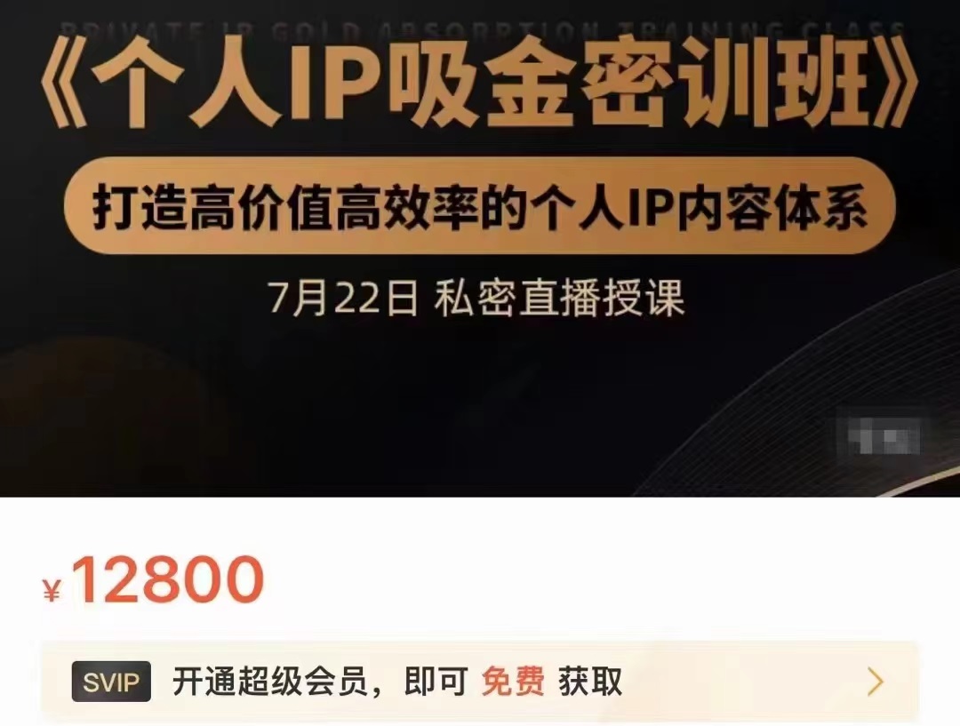 个人IP吸金密训班，打造高价值高效率的个人IP内容体系（价值12800元） - 网赚资源网-网赚资源网