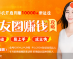 全网千万人气导师亲授:零基础/易上手的朋友圈赚钱攻略,让你轻松月入过万-网赚资源网