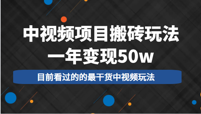 中视频项目搬砖玩法，一年变现50w，目前看过的的最干货中视频玩法 - 网赚资源网-网赚资源网