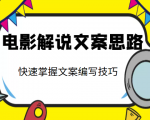 电影解说文案思路课,让你快速掌握文案编写的技巧(3节视频课程)-网赚资源网