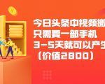 今日头条中视频搬运项目，只需要一部手机3-5天就可以产生利润（价值2800元）-网赚资源网
