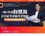 0粉0作品自然流正价起号及稳号全教程,专业自然流起号机构流程化教学(价值2980元)-网赚资源网