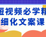 短视频必学精细化文案课，提升你的内容创作能力、升级迭代能力和变现力（价值333元）-网赚资源网